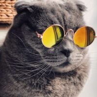 アバター画像