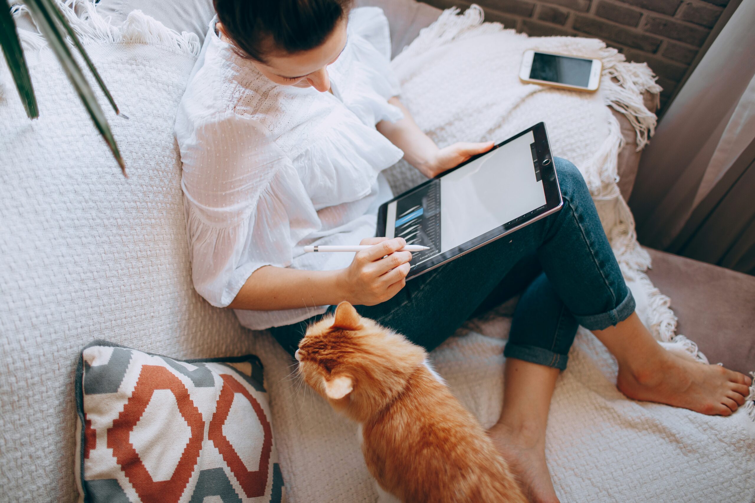猫とタブレットで過ごす女性 SoftBank光おすすめ